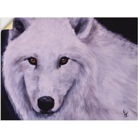 Artland Wandfolie "Weißer Wolf", Wildtiere, (1 St.) von Artland