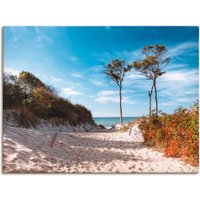 Artland Wandbild "Weststrand Darss", Strand, (1 St.) von Artland