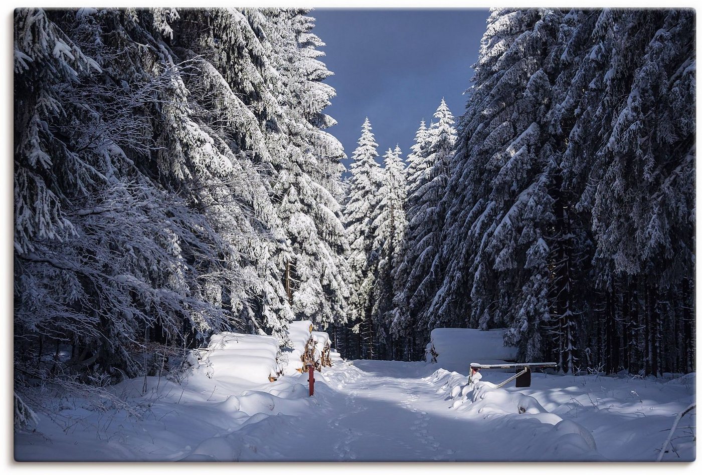 Artland Leinwandbild Winter im Thüringer Wald II, Waldbilder (1 St), auf Keilrahmen gespannt von Artland