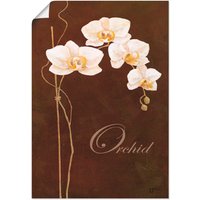 Artland Wandbild "Zarte Orchidee", Blumen, (1 St.) von Artland