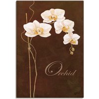 Artland Wandbild "Zarte Orchidee", Blumen, (1 St.) von Artland