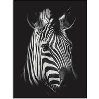 Artland Wandbild "Zebra", Zebra Bilder, (1 St.) von Artland