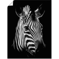 Artland Wandbild "Zebra", Zebra Bilder, (1 St.) von Artland