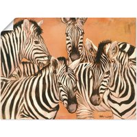 Artland Wandbild "Zebras", Wildtiere, (1 St.) von Artland