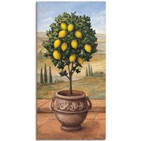 Artland Wandbild "Zitronenbaum" Bäume 1 Stk. tlg. als Leinwandbild, Wandaufkleber in verschied. Größen von Artland