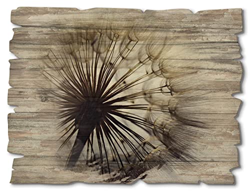 ARTland Wandbild aus Holz Shabby Chic Holzbild rechteckig 40x30 cm Querformat Blumen Pusteblume Frühling Vintage Landhausstil T4RE von ARTLAND