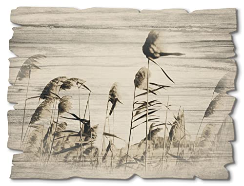 ARTland Wanddeko Bild aus Holz Holzbild vintage Deko 40x30 cm Querformat Natur Gräser Botanik Feld Sepia Frühling Landhaussstil T3MG von ARTLAND