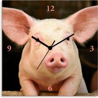 Artland Wanduhr "Vorwitziges Schwein" von Artland