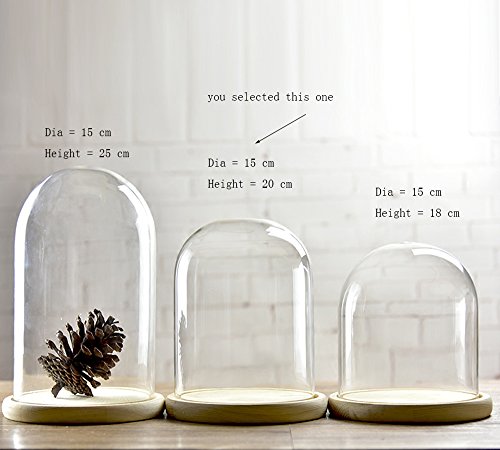 Glasglocke mit Holztablett, Durchmesser: 15 cm, glas, farblos, M von Artlass
