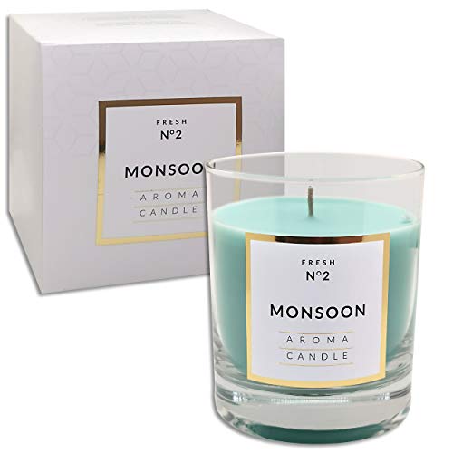 250 g Duftkerze im Glas | 12 Düfte zur Auswahl | Duftwachs Kerze mit 114 Std. Brenndauer in edler Geschenkverpackung (Monsoon N°2) von Artman Candles