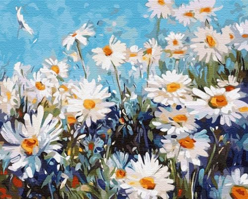 ARTNAPI Malen nach Zahlen Erwachsene mit Rahmen | DIY Handgemalt | Blumen - Gänseblümchen | Kit für Anfänger und Erwachsene | Set inklusive Acrylfarben & Pinsel | 40x50cm Leinwand | Ideal als Geschenk von Artnapi