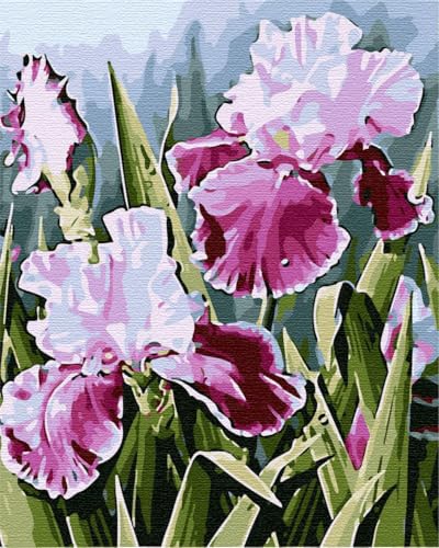 ARTNAPI Malen nach Zahlen Erwachsene mit Rahmen | DIY Handgemalt | Blumen - Schwertlilien | Kit für Anfänger und Erwachsene | Set inklusive Acrylfarben & Pinsel | 40x50cm Leinwand | Ideal als Geschenk von Artnapi