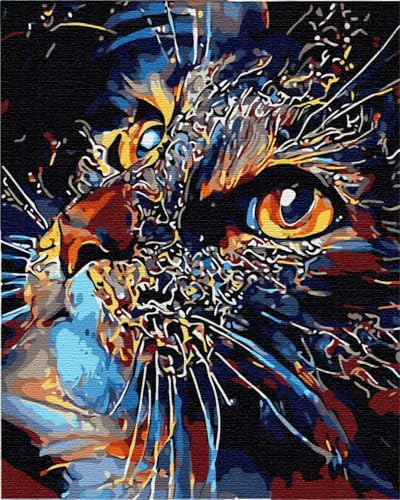 ARTNAPI Malen nach Zahlen Erwachsene mit Rahmen | DIY Handgemalt | Tiere - Magische Katze | Kit für Anfänger und Erwachsene | Set inklusive Acrylfarben & Pinsel | 40x50cm Leinwand | Ideal als Geschenk von Artnapi