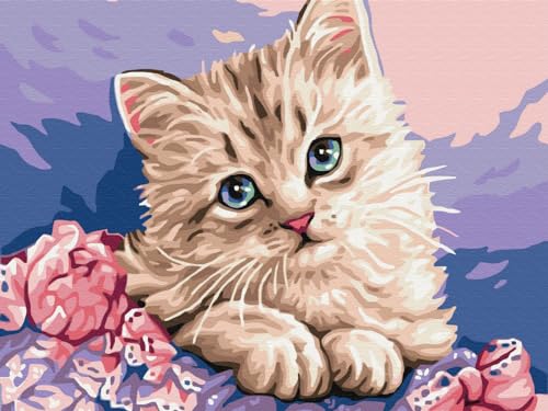 Artnapi Diamond Painting Set 5D DIY | Diamant Painting Bilder | Blauäugige Katze 30x40 | Diamanten Gemälde Malen nach Zahlen | Diamant Mosaik für Haus Decor von Artnapi