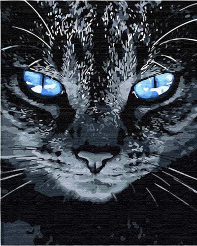 Artnapi Malen nach Zahlen Erwachsene mit Rahmen | DIY Handgemalt | Blauäugige Katze | Kit für Anfänger und Erwachsene | Set inklusive Acrylfarben & Pinsel | 40x50cm Leinwand | Ideal als Geschenk von Artnapi