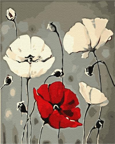 Artnapi Malen nach Zahlen Erwachsene mit Rahmen | DIY Handgemalt | Blumen - Mohnblumen | Kit für Anfänger und Erwachsene | Set inklusive Acrylfarben & Pinsel | 40x50cm Leinwand | Ideal als Geschenk von Artnapi
