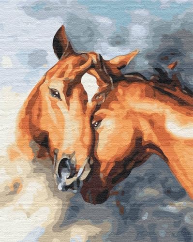 Artnapi Malen nach Zahlen Erwachsene mit Rahmen | DIY Handgemalt | Empfindlichkeit der Pferde | Kit für Anfänger und Erwachsene | Set inklusive Acrylfarben & Pinsel | 40x50cm Leinwand | Geschenke Artnapi Malen nach Zahlen Erwachsene mit Rahmen | DIY Handgemalt | Empfindlichkeit der Pferde | Kit für Anfänger und Erwachsene | Set inklusive Acrylfarben & Pinsel | 40x50cm Leinwand | Geschenke von Artnapi