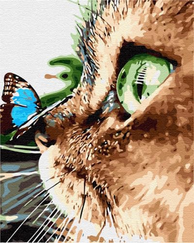 Artnapi Malen nach Zahlen Erwachsene mit Rahmen | DIY Handgemalt | Grünäugiges Kätzchen | Kit für Anfänger und Erwachsene | Set inklusive Acrylfarben & Pinsel | 40x50cm Leinwand | Ideal als Geschenk Artnapi Malen nach Zahlen Erwachsene mit Rahmen | DIY Handgemalt | Grünäugiges Kätzchen | Kit für Anfänger und Erwachsene | Set inklusive Acrylfarben & Pinsel | 40x50cm Leinwand | Ideal als Geschenk von Artnapi