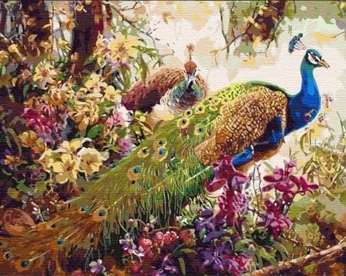 Artnapi Malen nach Zahlen Erwachsene mit Rahmen | DIY Handgemalt | Pfaue in Blumen | Kit für Anfänger und Erwachsene | Set inklusive Acrylfarben & Pinsel | 40x50cm Leinwand | Ideal als Geschenk Artnapi Malen nach Zahlen Erwachsene mit Rahmen | DIY Handgemalt | Pfaue in Blumen | Kit für Anfänger und Erwachsene | Set inklusive Acrylfarben & Pinsel | 40x50cm Leinwand | Ideal als Geschenk von Artnapi