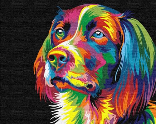 Artnapi Malen nach Zahlen Erwachsene mit Rahmen | DIY Handgemalt | Tiere - Bunter Hund | Kit für Anfänger und Erwachsene | Set inklusive Acrylfarben & Pinsel | 40x50cm Leinwand | Ideal als Geschenk von Artnapi