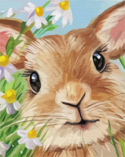 Artnapi Malen nach Zahlen Erwachsene mit Rahmen | DIY Handgemalt | Tiere - Kaninchen | Kit für Anfänger und Erwachsene | Set inklusive Acrylfarben & Pinsel | 40x50cm Leinwand | Ideal als Geschenk von Artnapi