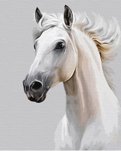 Artnapi Malen nach Zahlen Erwachsene mit Rahmen | DIY Handgemalt | Tiere - Weißes Pferd | Kit für Anfänger und Erwachsene | Set inklusive Acrylfarben & Pinsel | 40x50cm Leinwand | Ideal als Geschenk von Artnapi