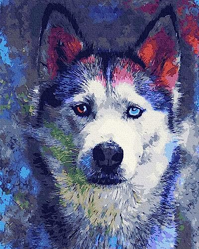 Artnapi Malen nach Zahlen Erwachsene mit Rahmen | DIY Handgemalt | Wolf mit bunten Augen | Kit für Anfänger und Erwachsene | Set inklusive Acrylfarben & Pinsel | 40x50cm Leinwand | Ideal als Geschenk von Artnapi