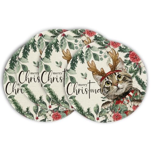 Artoid Mode Holly Blumen Eukalyptus Katze Weihnachten Runde Platzsets 4er Set, 37cm Winter Xmas Tischset Waschbar Platzdeckchen Küche Party Deko von Artoid Mode