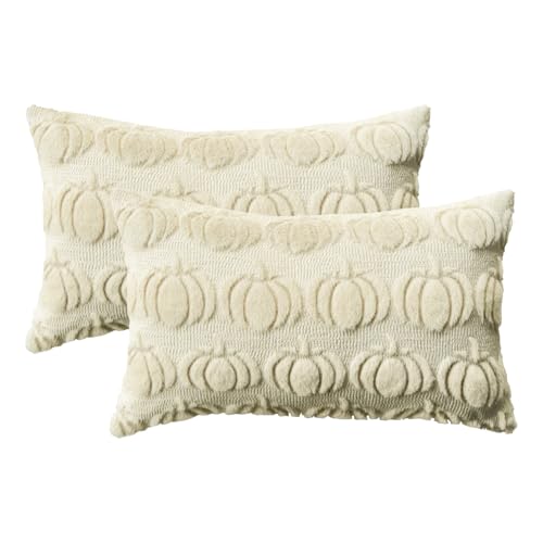 Artoid Mode Weich Künstliche Pelz Beige Kürbisse Herbst Kissenbezüge 2er Set, 30x50 cm Plüsch Samt Sofakissen Zierkissenbezug Schlafzimmer Deko von Artoid Mode