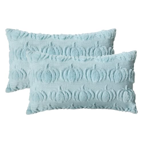 Artoid Mode Weich Künstliche Pelz Blau Kürbisse Herbst Kissenbezüge 2er Set, 30x50 cm Plüsch Samt Sofakissen Zierkissenbezug Schlafzimmer Deko Artoid Mode Weich Künstliche Pelz Blau Kürbisse Herbst Kissenbezüge 2er Set, 30x50 cm Plüsch Samt Sofakissen Zierkissenbezug Schlafzimmer Deko von Artoid Mode