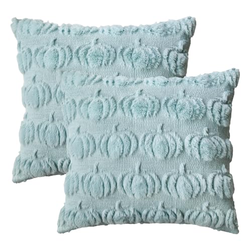 Artoid Mode Weich Künstliche Pelz Blau Kürbisse Herbst Kissenbezüge 2er Set, 40x40 cm Plüsch Samt Sofakissen Zierkissenbezug Schlafzimmer Deko Artoid Mode Weich Künstliche Pelz Blau Kürbisse Herbst Kissenbezüge 2er Set, 40x40 cm Plüsch Samt Sofakissen Zierkissenbezug Schlafzimmer Deko von Artoid Mode