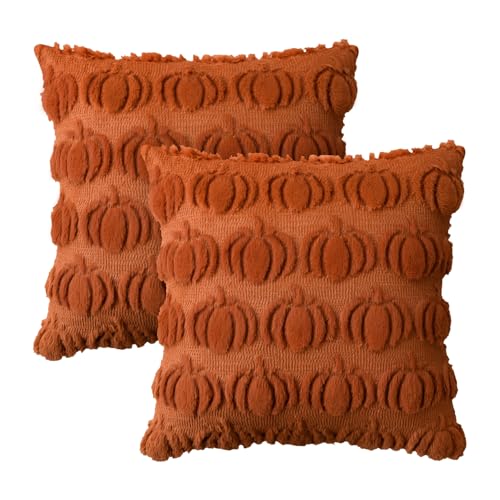 Artoid Mode Weich Künstliche Pelz Caramel Kürbisse Herbst Kissenbezüge 2er Set, 50x50 cm Plüsch Samt Sofakissen Zierkissenbezug Schlafzimmer Deko Artoid Mode Weich Künstliche Pelz Caramel Kürbisse Herbst Kissenbezüge 2er Set, 50x50 cm Plüsch Samt Sofakissen Zierkissenbezug Schlafzimmer Deko von Artoid Mode