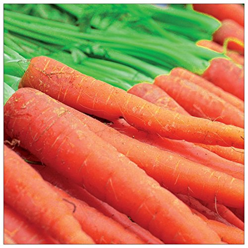 Artopweb Decorative Panel, MDF (Mitteldichte Holzfaserplatte), Papier, Bunt Artopweb Decorative Panel, MDF (Mitteldichte Holzfaserplatte), Papier, Bunt von Artopweb