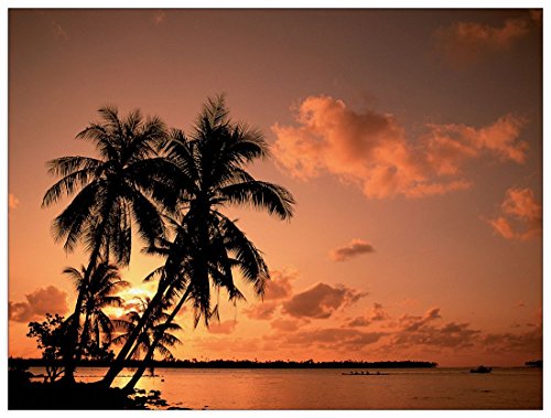 Artopweb Decorative Panel, MDF (Mitteldichte Holzfaserplatte), Papier, Bunt Artopweb Decorative Panel, MDF (Mitteldichte Holzfaserplatte), Papier, Bunt von Artopweb