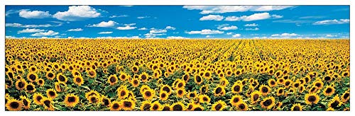 Artopweb TW14545 Anthea Images - A Sunflower Field in Provence Dekorative Paneele, Multifarbiert, 100x29 Cm von Artopweb
