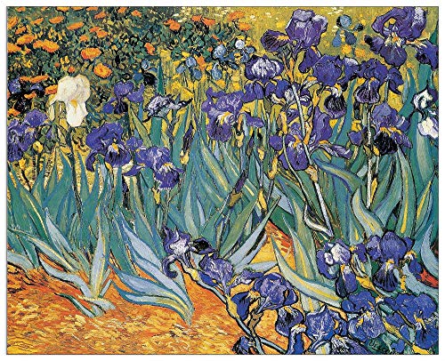 Artopweb TW17946 Van Gogh - Irises Dekorative Paneele, Multifarbiert, 100x81 Cm von Artopweb