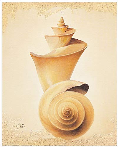 Artopweb TW18209 Welles - Thatcheria Shell Dekorative Paneele, Holzwerkstoff, Multifarbiert, 40x50 Cm von Artopweb