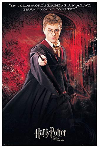 Artopweb TW18503 Harry Potter Dekorative Paneele, Multifarbiert, 60x90 Cm von Artopweb