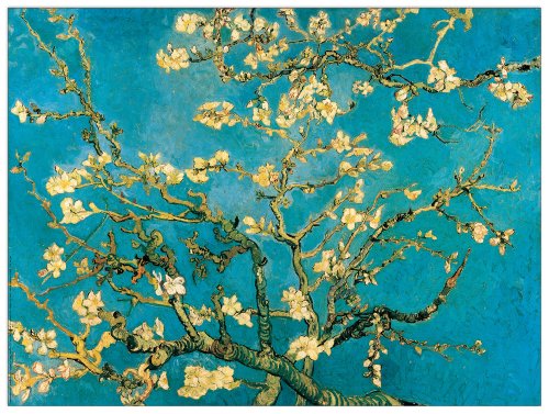 Artopweb TW21595 Van Gogh - Mandorli In Fiore A San Remy Dekorative Paneele, Multifarbiert,80x60 Cm Artopweb TW21595 Van Gogh - Mandorli In Fiore A San Remy Dekorative Paneele, Multifarbiert,80x60 Cm von Artopweb