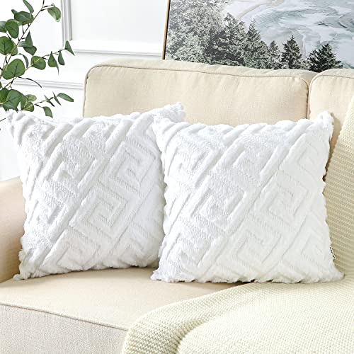 Artscope 2er-Set Dekorativ Kurze Wolle Kissenbezug, Sanft Plüsch Samt Luxus Zierkissenbezüge Dekokissen Kissenhülle Set Kissen Fall für Sofa Auto Schlafzimmer Zuhause Dekor (Reines Weiß, 50 x 50cm) von Artscope