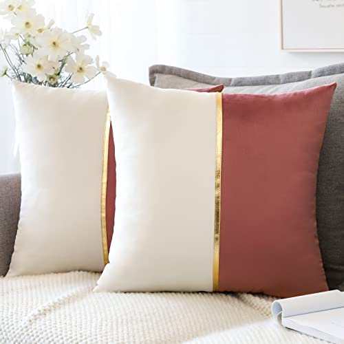 Artscope 2er Set Samt Kissenbezug für Sofa Auto Schlafzimmer Luxuriöser Moderne Minimalist Goldenen Ledernähten Dekokissen Kissenhülle Kissen Fall 45x45cm (Marmelade und Weiß) von Artscope
