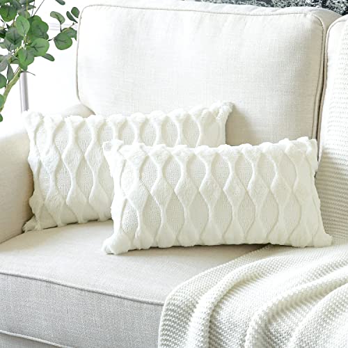 Artscope 2er-Set Sanft Plüsch Dekorativ Kissenbezüge, Kurze Wolle Samt Kissenbezug Boho Luxus Dekokissen Kissenhülle Set Kissen Fall für Sofa Auto Schlafzimmer Zuhause Dekor (Creme Weiß, 30x50cm) von Artscope