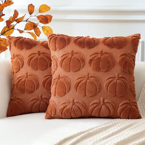 Artscope 2er Set Wolle Kürbis Kissenbezüge Weicher Plüsch Kurzer Wollsamt Dekokissenbezüge Herbst Kissenhülle Sofakissen Herbstdeko für Sofa Schlafzimmer Halloween Karamell Orange, 45x45cm von Artscope