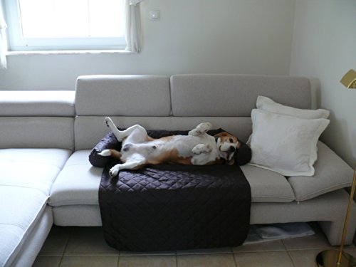 Artur Soja Leo Hundebett Couch XL 145 x 110cm BRAUN Sesselschutz Sofaschutz COUCHPROTECT von Artur Soja
