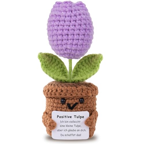 Aruigu Pocket Hug Positive Tulpe Geschenke - Positive Kartoffel Deutsch Ersatz, Mutmacher Geschenk, Gute Besserung Geschenk, Einschulung Geschenk, Muttertagsgeschenk von Aruigu