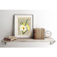 Lilie Blumen Illustration Wörterbuch Kunstdruck von ArwenPrints