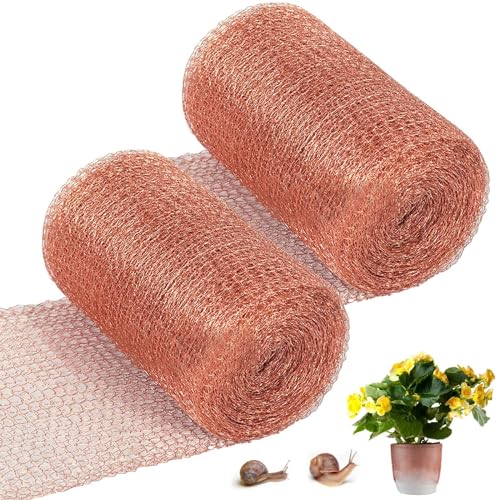 2 Rollen Kupfernetz, 12.7CM*6M Kupfergitterrolle 100% reines Kupfernetz gerolltes Kupfergeflecht Kupferband Gegen Schnecken Hochbeet zum Bauen von Löchern Pflanzenschutz für Haus und Garten 2 Rollen Kupfernetz, 12.7CM*6M Kupfergitterrolle 100% reines Kupfernetz gerolltes Kupfergeflecht Kupferband Gegen Schnecken Hochbeet zum Bauen von Löchern Pflanzenschutz für Haus und Garten von Asfrode