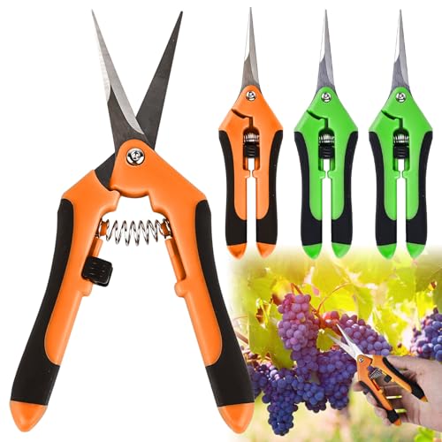 4 Stücke Gartenschere, Ernteschere aus rostfreiem Edelstahl, Obstpflückschere Beschneiden Von Haushaltszweigen In Töpfen Kleine, Gerader zum präzisen Ernten von Kräutern(orange、Grün) von Asfrode