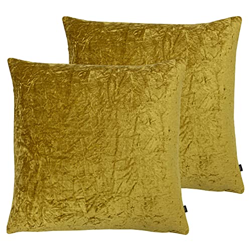 Ashley Wilde Kassaro Twin Pack-Feder gefüllte Kissen, Dijon, 50 x 50cm, 2 von Ashley Wilde