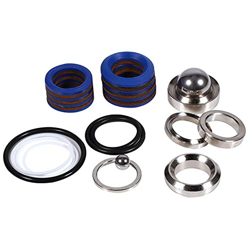 Asixxsix Airless-Spritzpumpen-Set mit Edelstahl-Silikon-Aftermarket-Reparaturset für Ultra 390 795 1095 3900 5900 7900, Farbersatzpumpe 244194, 248212, 248213, 249123 Optional (248213) von Asixxsix